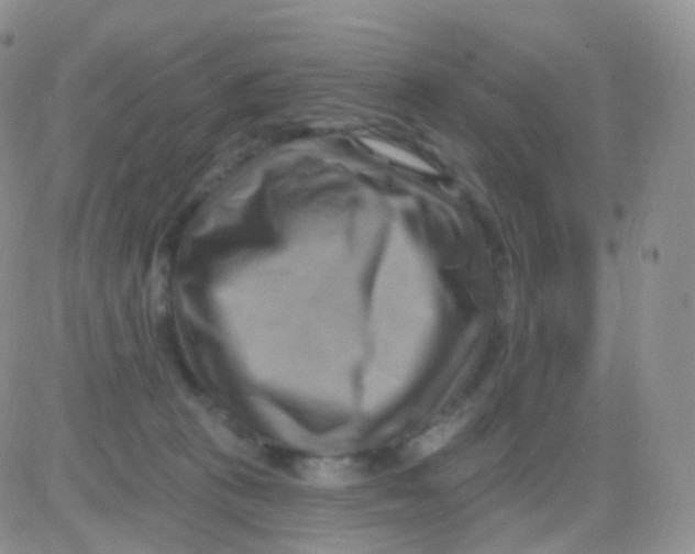 X0000083040273200702231937