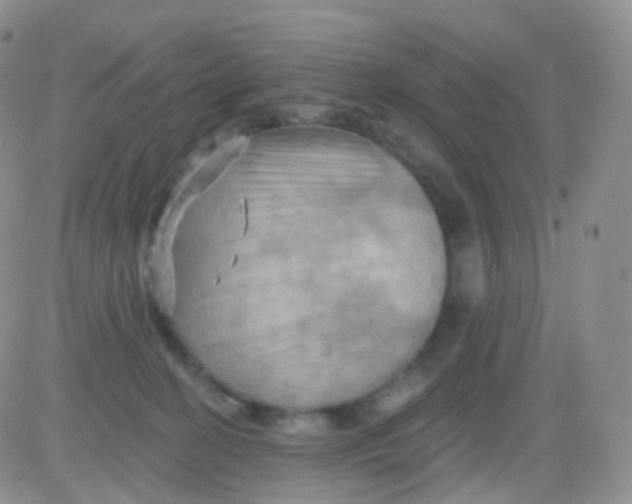 X0000083040274200702231937