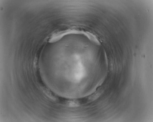 X0000083040275200702231937