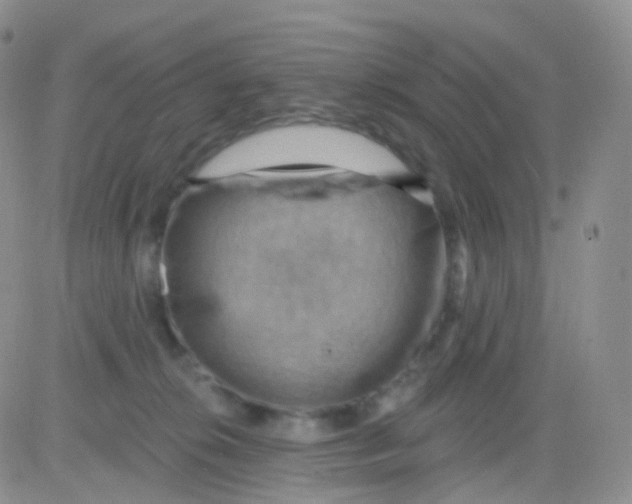 X0000083040276200702231937