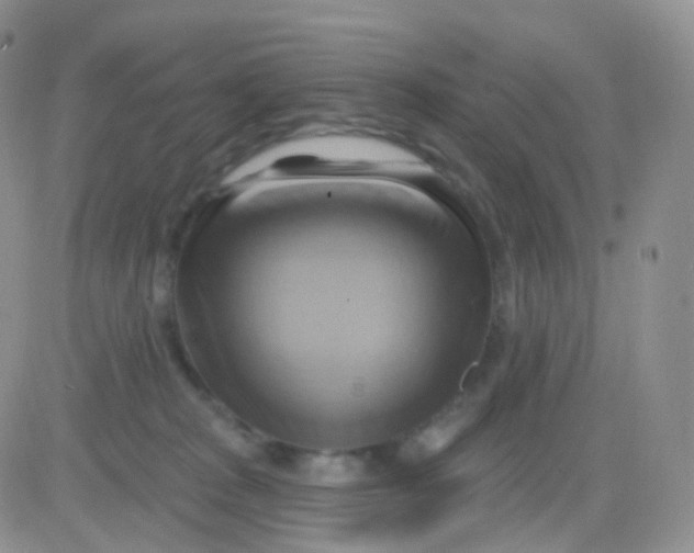 X0000083040277200702231937