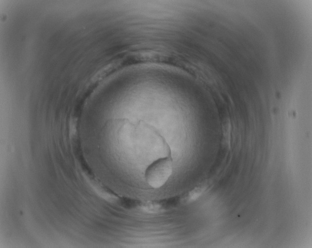 X0000083040278200702231937