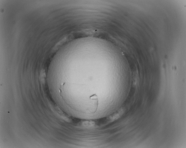 X0000083040279200702231937