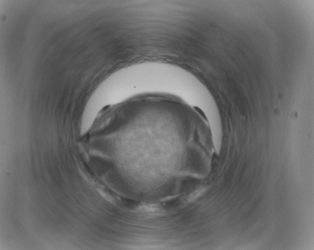 X0000083040280200702231937