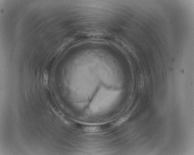 X0000083040281200702231937