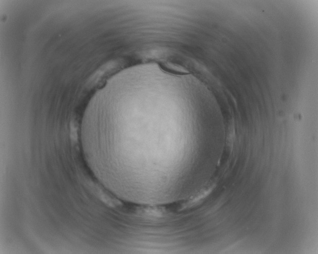 X0000083040282200702231937