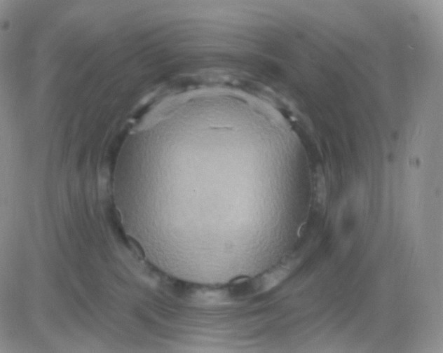 X0000083040283200702231937