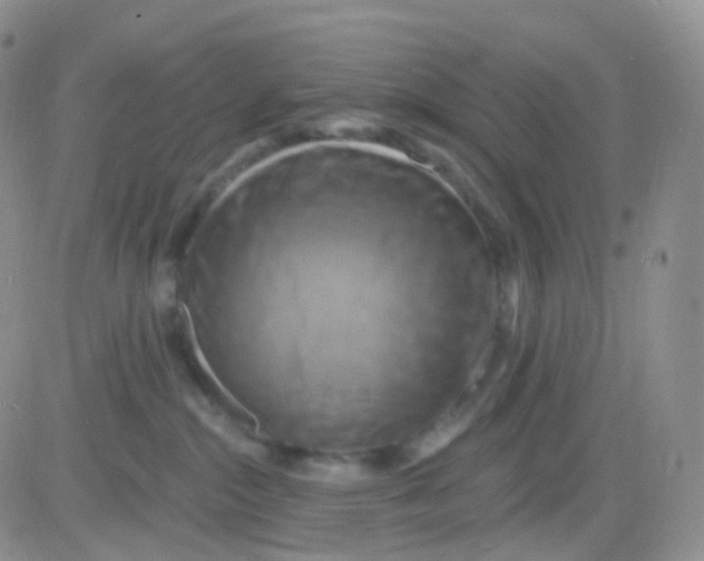 X0000083040284200702231937