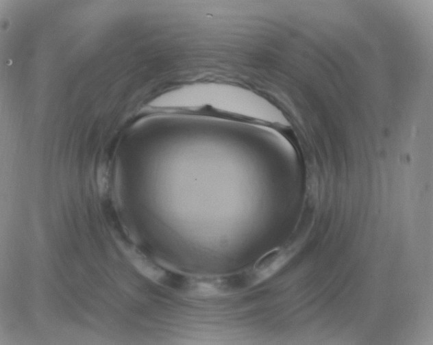 X0000083040285200702231937