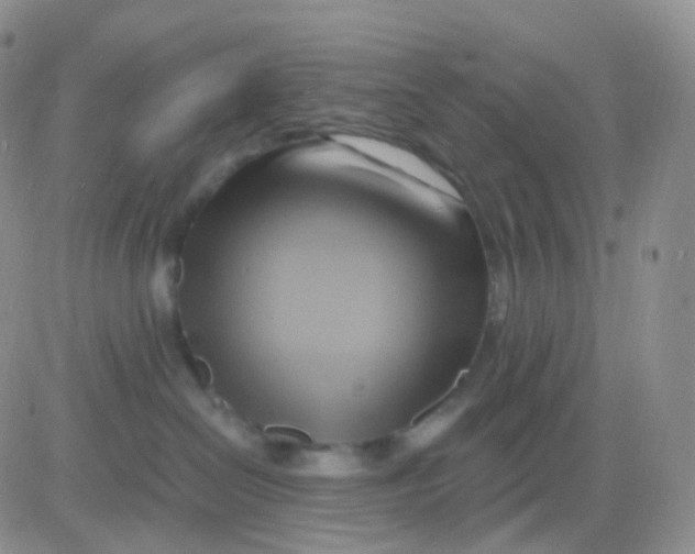 X0000083040286200702231937