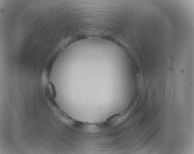 X0000083040287200702231937