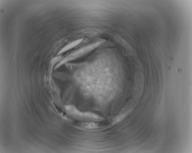 X0000083040288200702231937