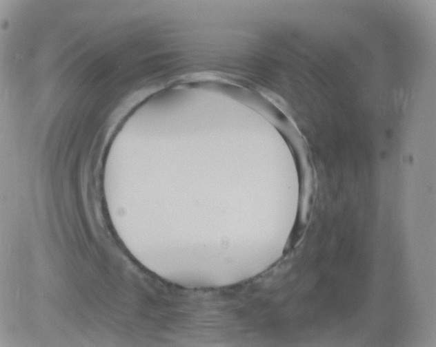 X0000083040289200702231937