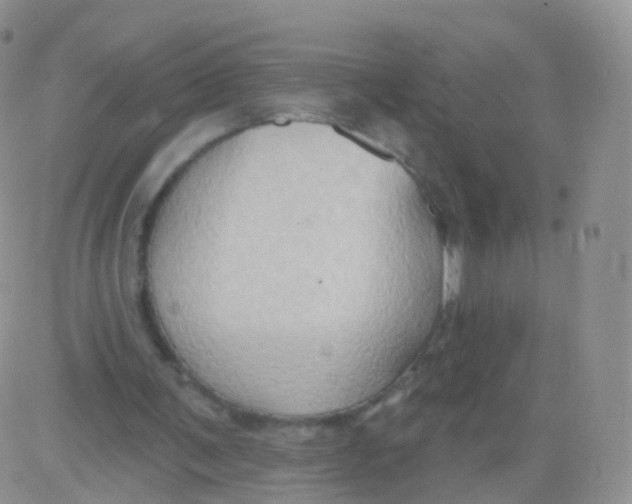 X0000083040291200702231937