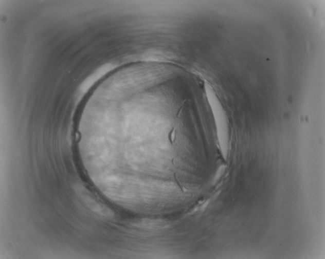 X0000083040292200702231937