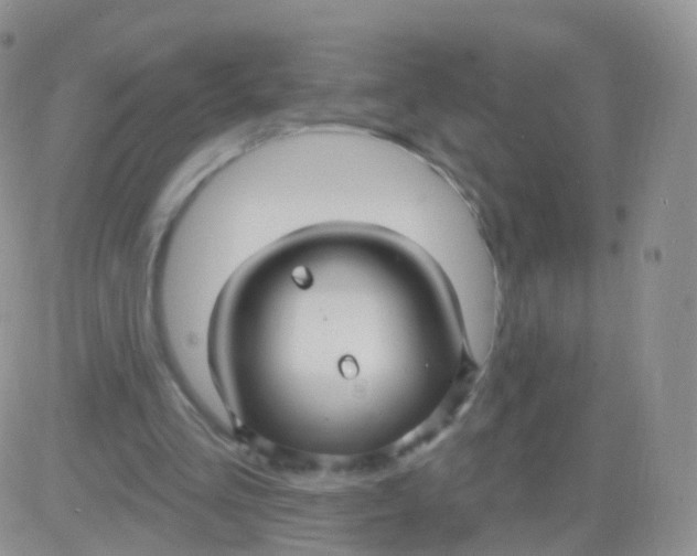 X0000083040293200702231937