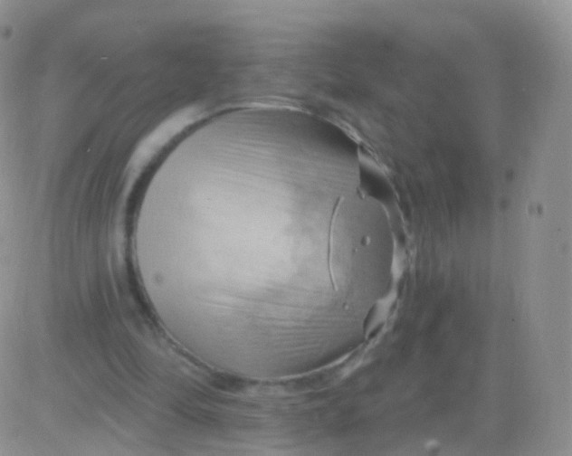 X0000083040294200702231937