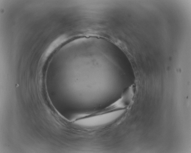 X0000083040295200702231937