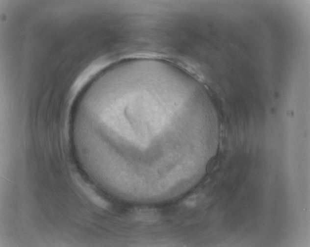 X0000083040296200702231937