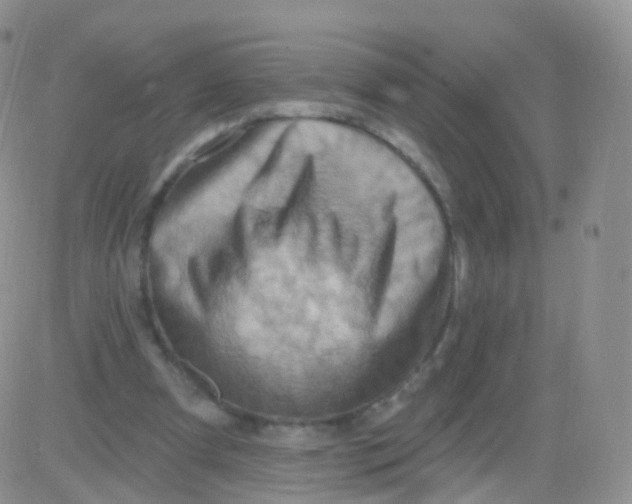 X0000083040297200702231937