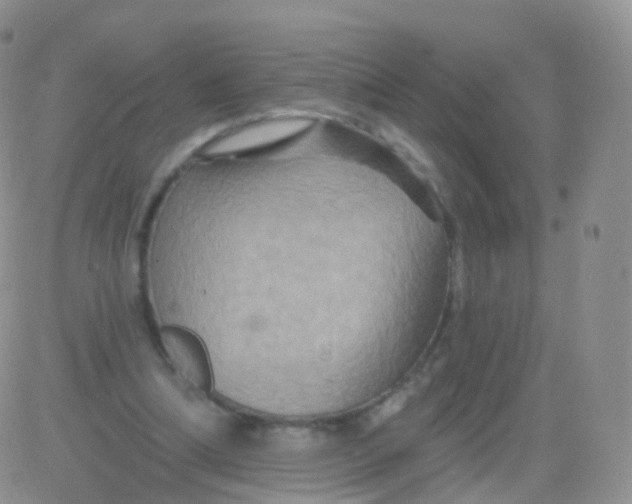 X0000083040298200702231937