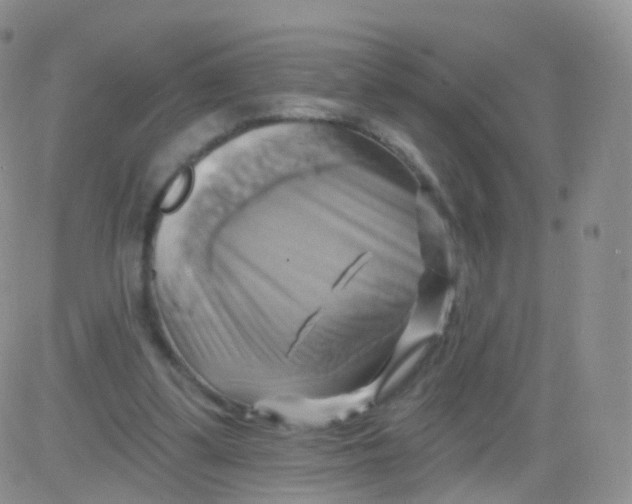 X0000083040299200702231936