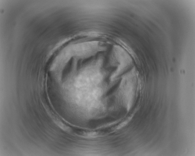 X0000083040301200702231936