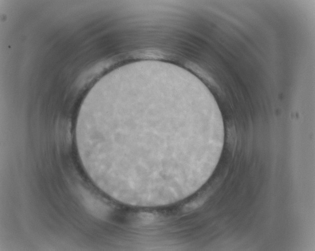 X0000083040302200702231936