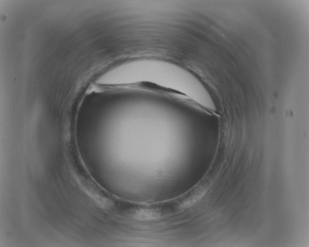 X0000083040303200702231936