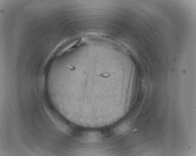 X0000083040304200702231936