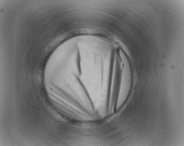 X0000083040305200702231936