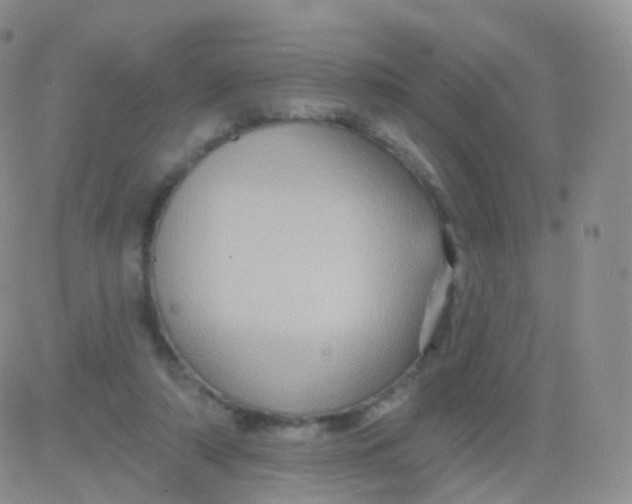 X0000083040306200702231936