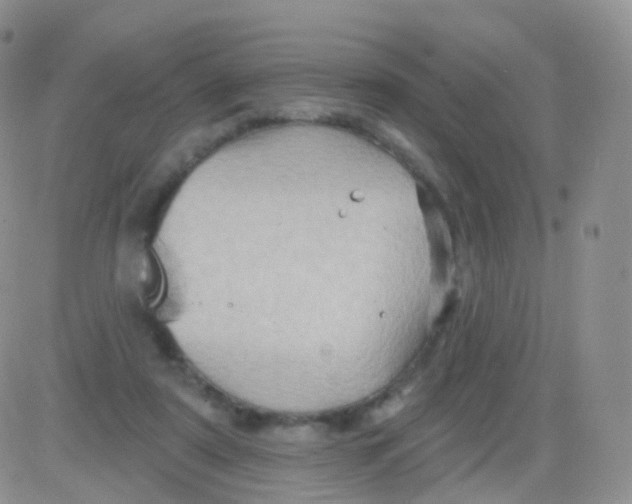 X0000083040307200702231936