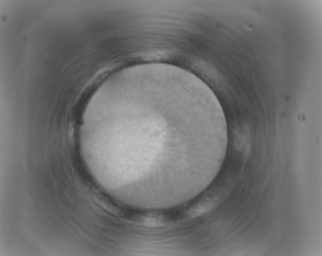 X0000083040308200702231936