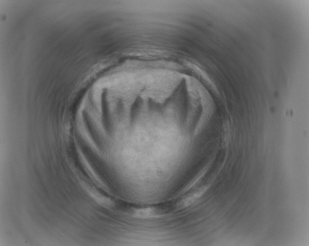 X0000083040309200702231936