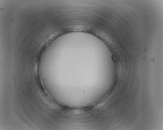 X0000083040310200702231936