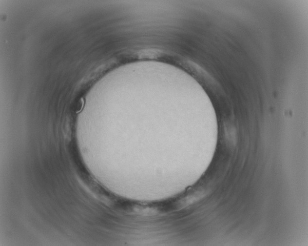 X0000083040311200702231936