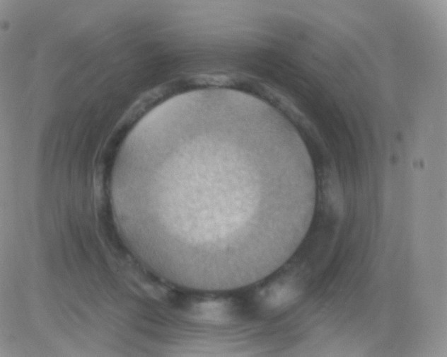 X0000083040312200702231936