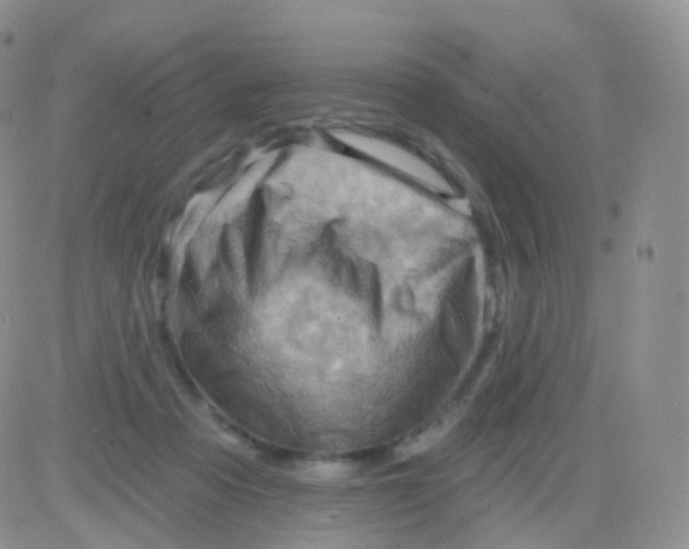 X0000083040313200702231936