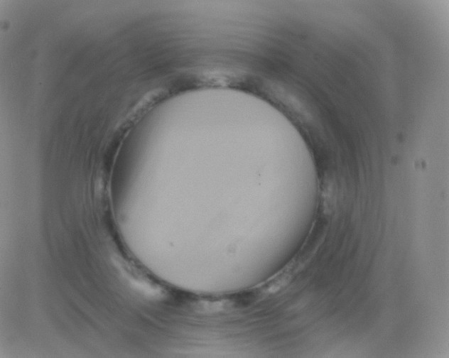 X0000083040314200702231936