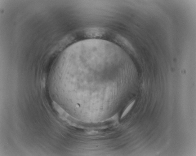 X0000083040315200702231936