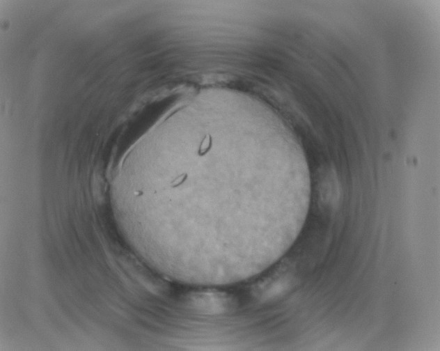 X0000083040316200702231936