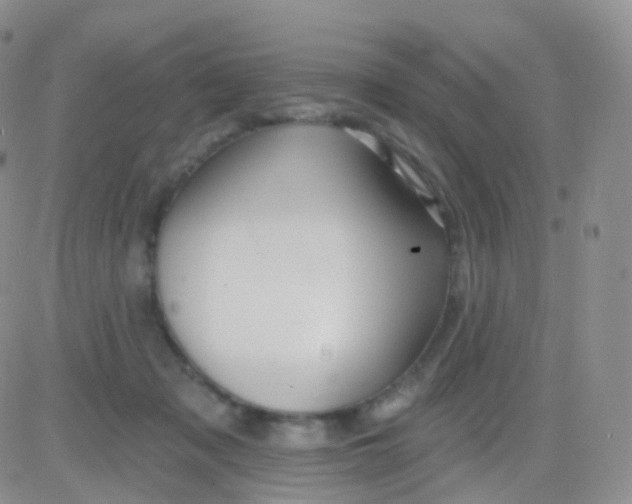 X0000083040317200702231936