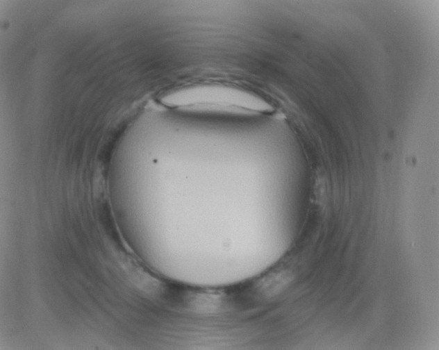 X0000083040318200702231936