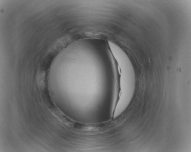 X0000083040319200702231936