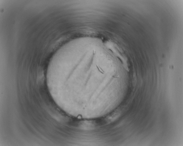 X0000083040320200702231936