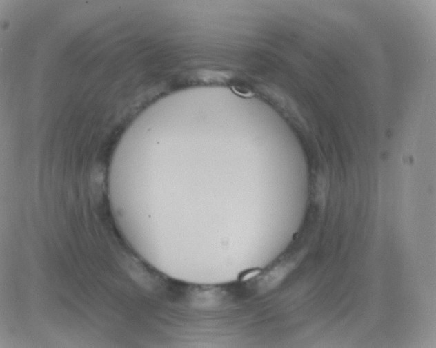 X0000083040321200702231936