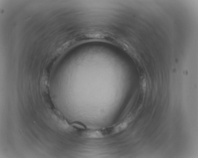 X0000083040322200702231936