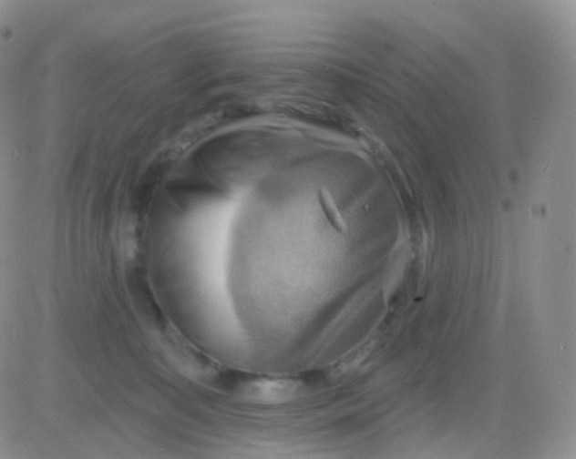 X0000083040323200702231936