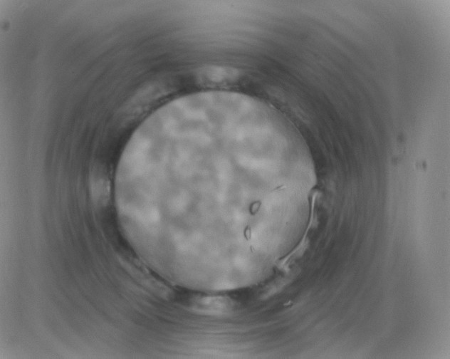 X0000083040324200702231936